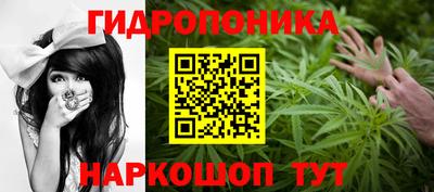 спиды Заволжье