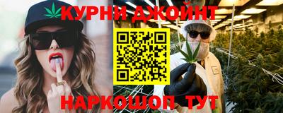 гидра Заводоуковск