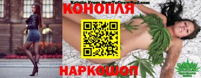 гидра Заводоуковск