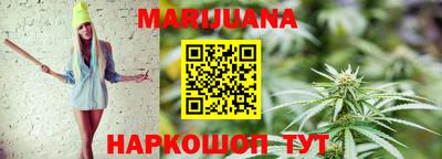 гидра Заводоуковск