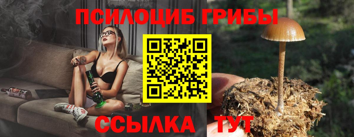 Галлюциногенные грибы Psilocybine cubensis  цены   Мичуринск  Галлюциногенные грибы мицелий  Вход с VPN 